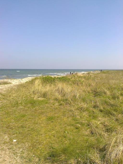 Erholung Auf Dem Land Zwischen Ostsee Und Schlei Stoltebull Bagian luar foto